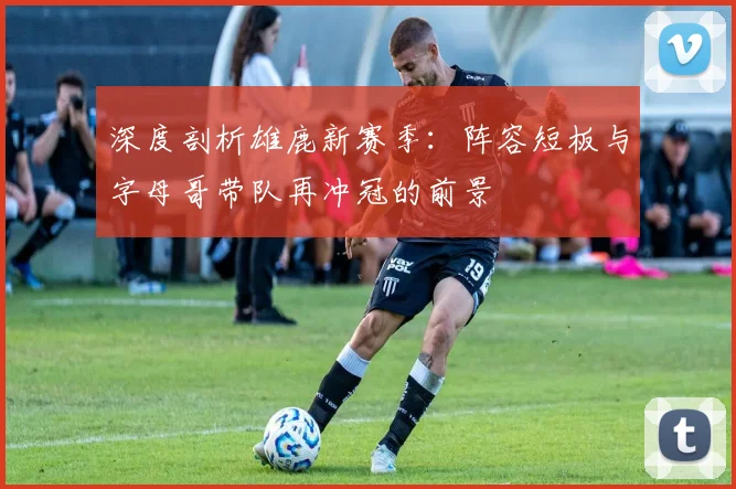 深度剖析雄鹿新赛季：阵容短板与字母哥带队再冲冠的前景