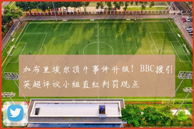 加布里埃尔顶牛事件升级！BBC援引英超评议小组直红判罚观点
