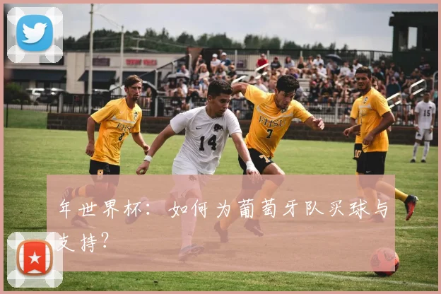 年世界杯：如何为葡萄牙队买球与支持？