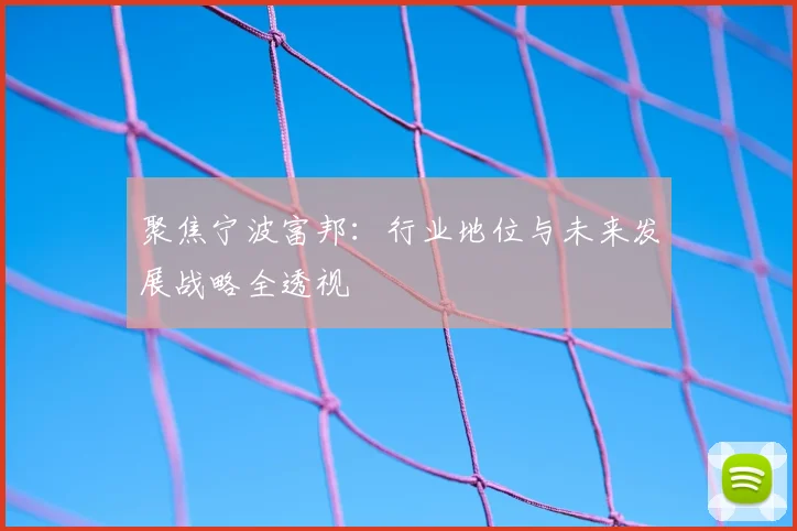 聚焦宁波富邦：行业地位与未来发展战略全透视